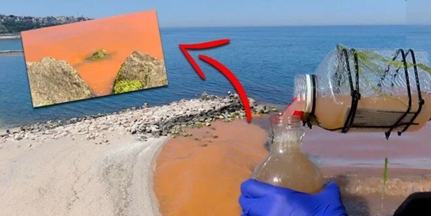 Karadeniz'de endişelendiren görüntü! 'İlk defa gördük'