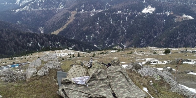 Karadeniz'de hainlere göz açtırılmıyor!