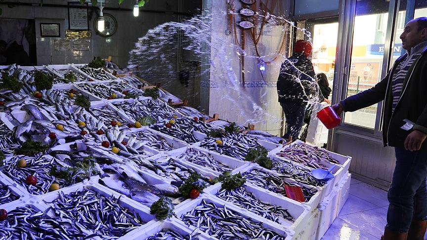 Karadeniz'de hamsi bereketi