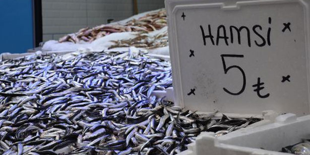 Karadeniz’de hamsi bereketi! Kilosu 5 TL