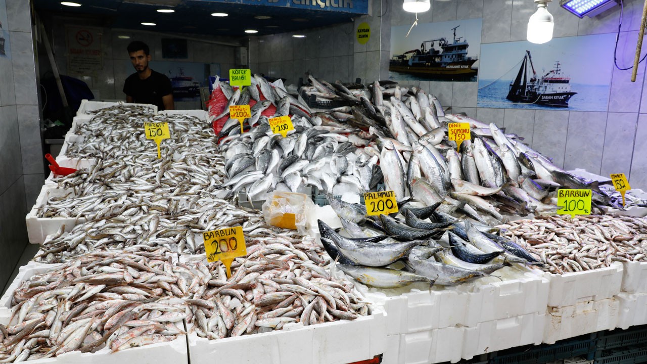 Karadeniz’de hamsi bolluğu! İşte güncel fiyatlar