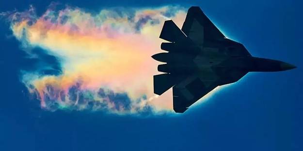 Karadeniz'de it dalaşı: Havada karşı karşıya geldiler