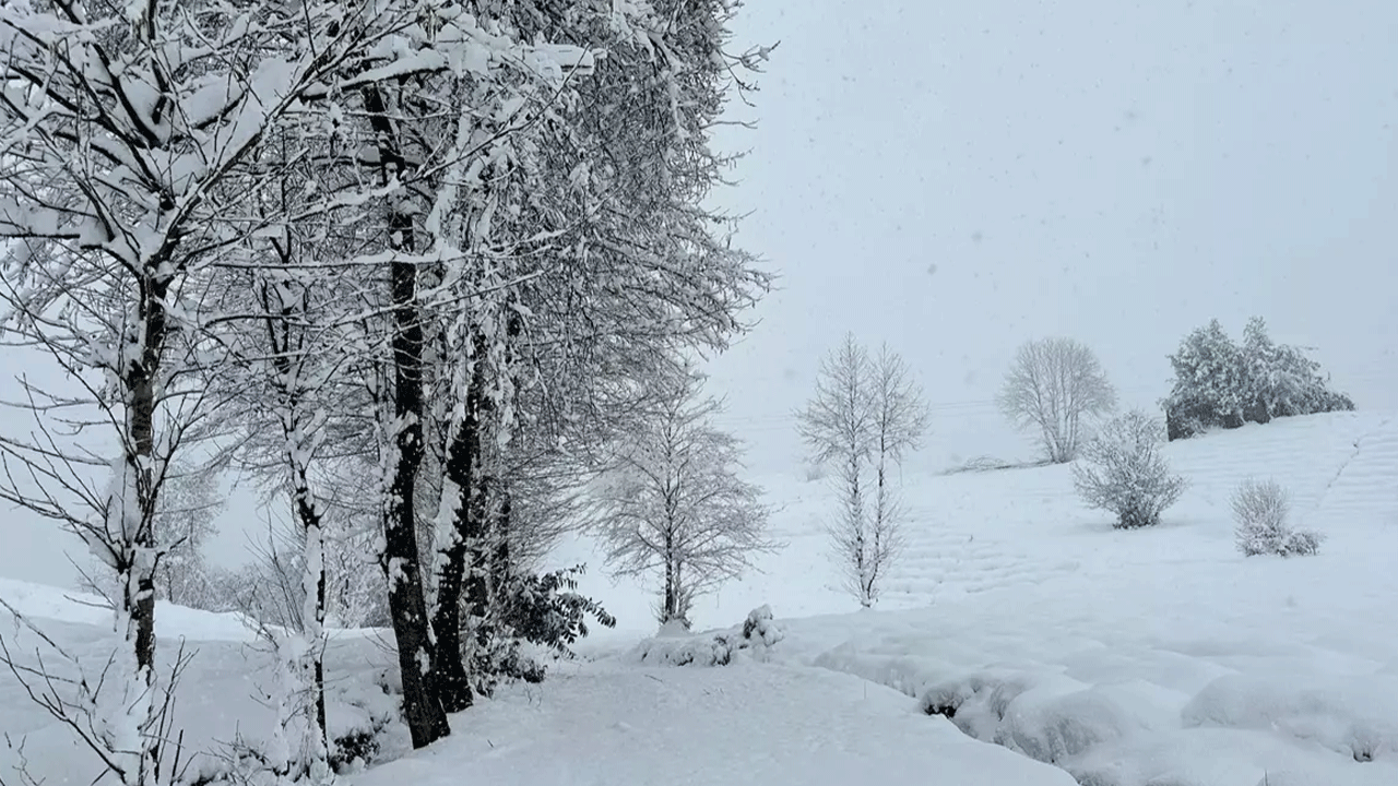 Karadeniz'de kar engeli! 1028 köye ulaşım kesildi