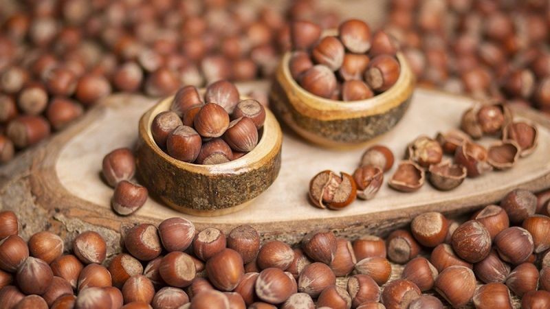 Karadeniz’de moraller yüksek: Fındık ihracatı patladı!