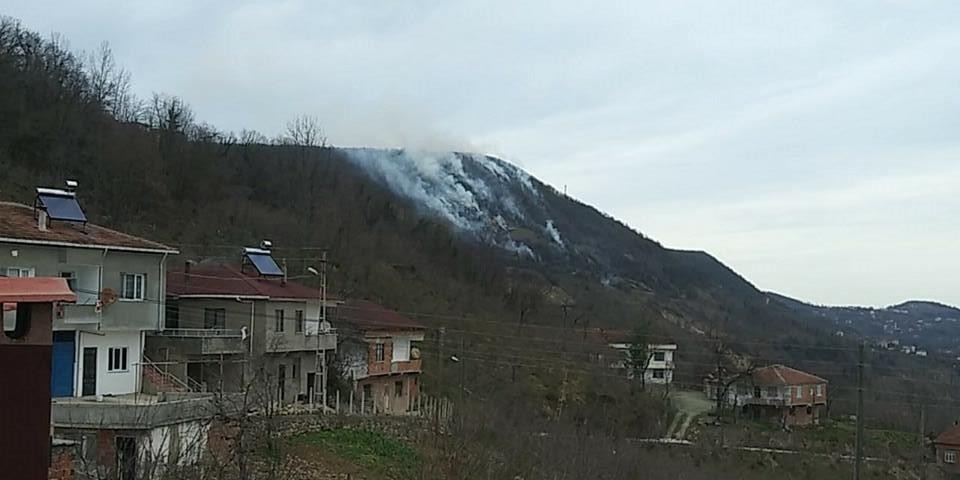 Karadeniz’de orman yangını uyarısı 