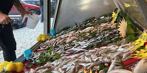 Karadeniz'de palamut bereketi