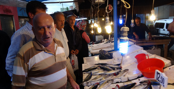 Karadeniz'de palamut bolluğu