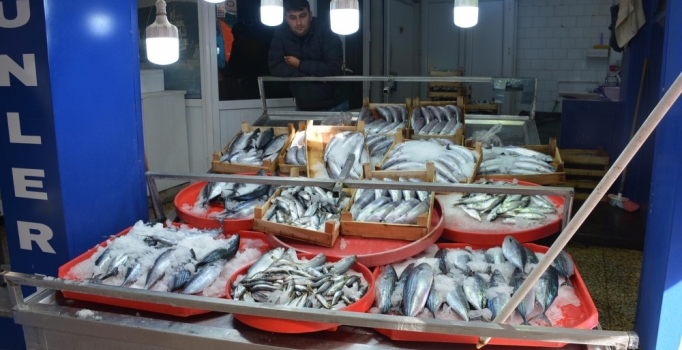 Karadeniz’de palamut bolluğu; tanesi 5 liraya düştü