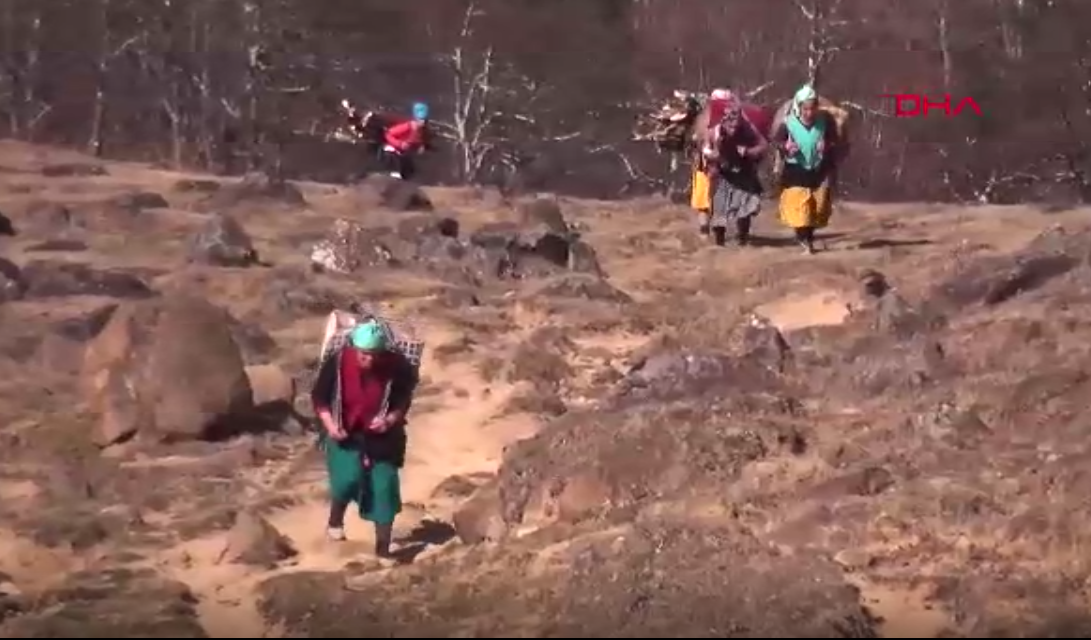 Karadeniz’de sinsi tehlike! Çiftçi akciğeri hastalığı kronikleşebilir