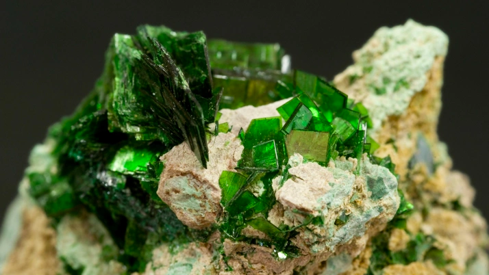 Karadeniz’de yatıyor! Japonlar peşinde! Dünyaya göre yüzde 100 daha zengin