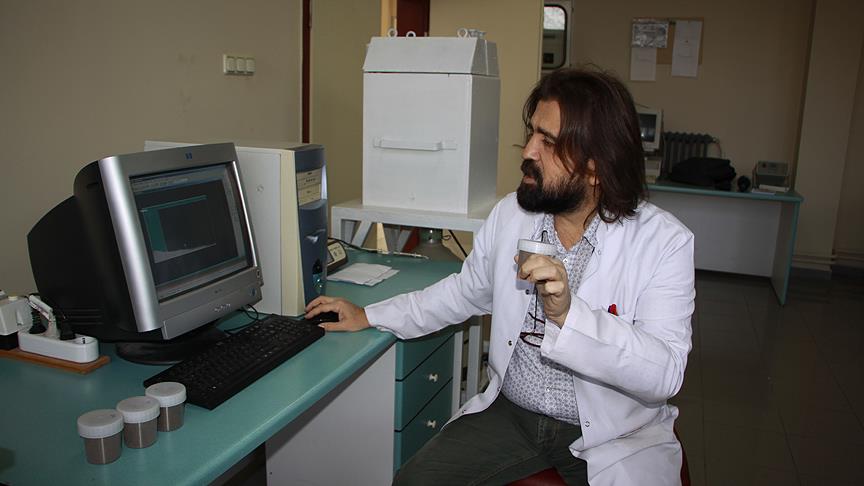 Karadeniz'deki midye ve salyangozlar temiz çıktı