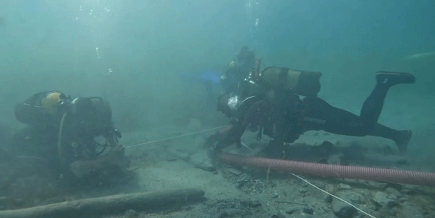 Karadeniz'den heyecanlandıran haber