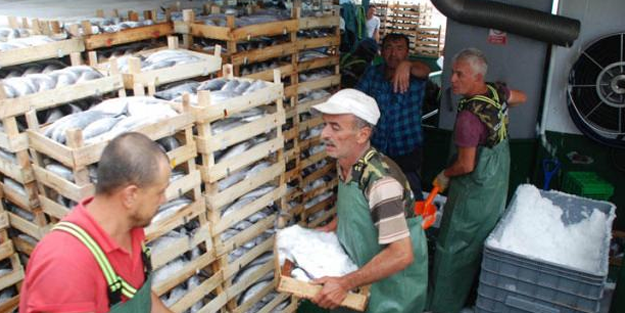 Karadeniz'den tek seferde 30 ton palamutla döndü