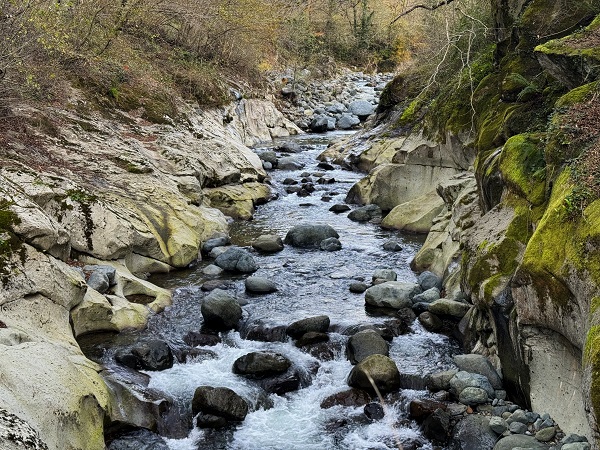 Karadeniz’in doğal güzelliği: Çamaş