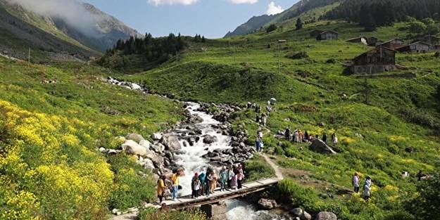 Karadeniz'in yeni gözde yaylası ziyaretçilerine huzur veriyor!
