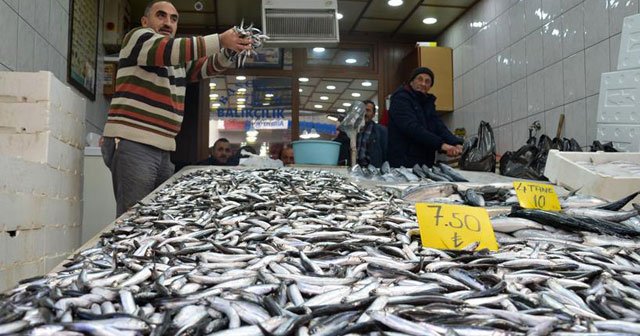 Karadenizli balıkçılar hamsi konusunda beklentileri düşük