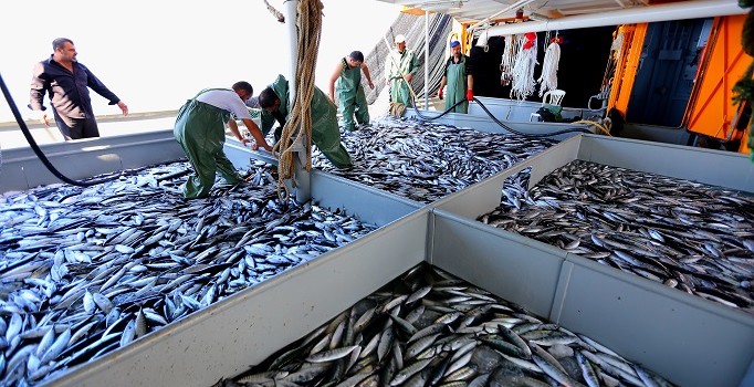 Karadenizli balıkçılarda yeni sezon bekleyişi