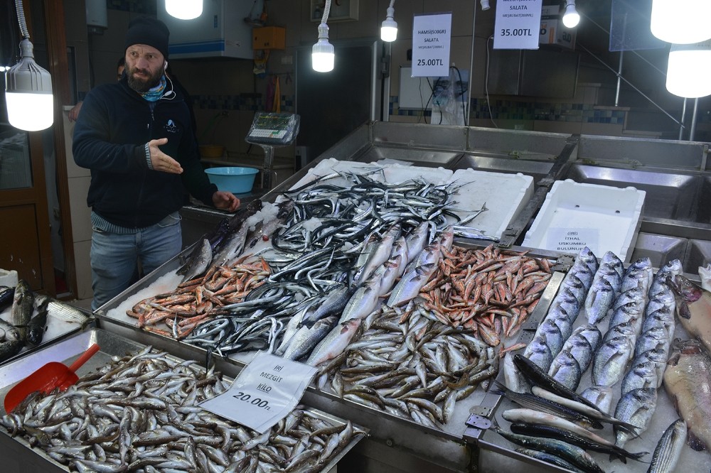 Karadenizli balıkçıların yüzü dip balıklarıyla gülüyor 