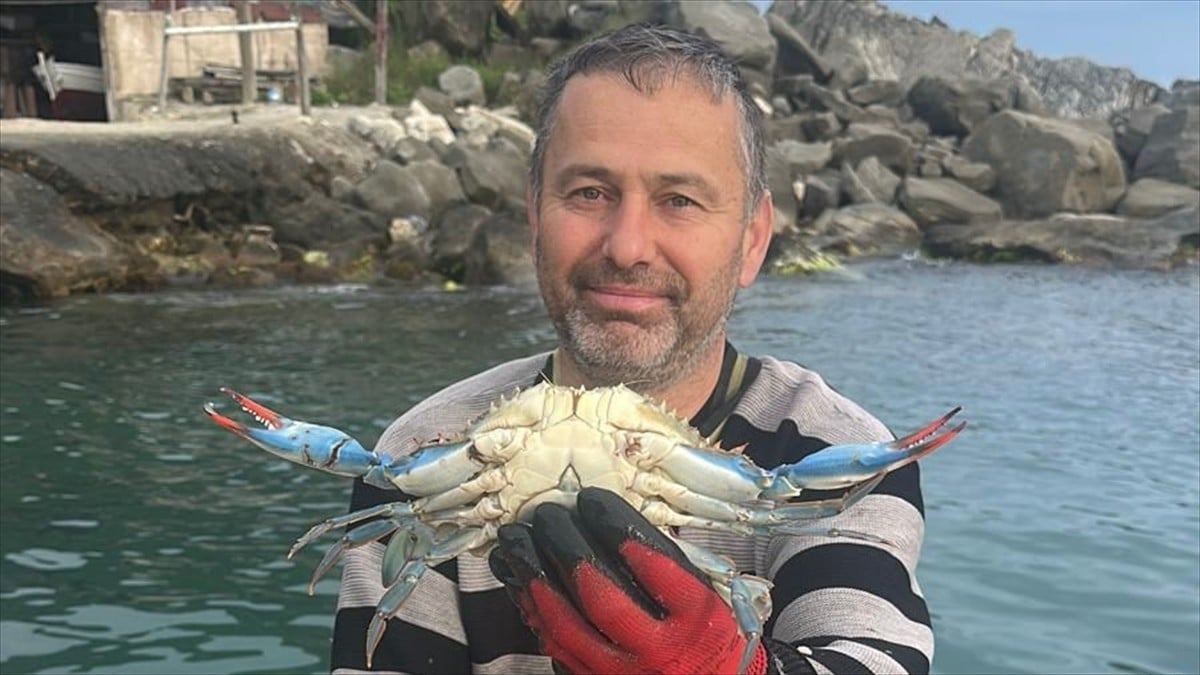 Karadenizli balıkçının ağına takıldı! Çok nadir görülüyor
