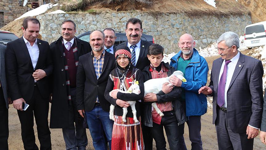 Doğum yapan keçiyi sırtında taşıyan kız ödüllendirildi