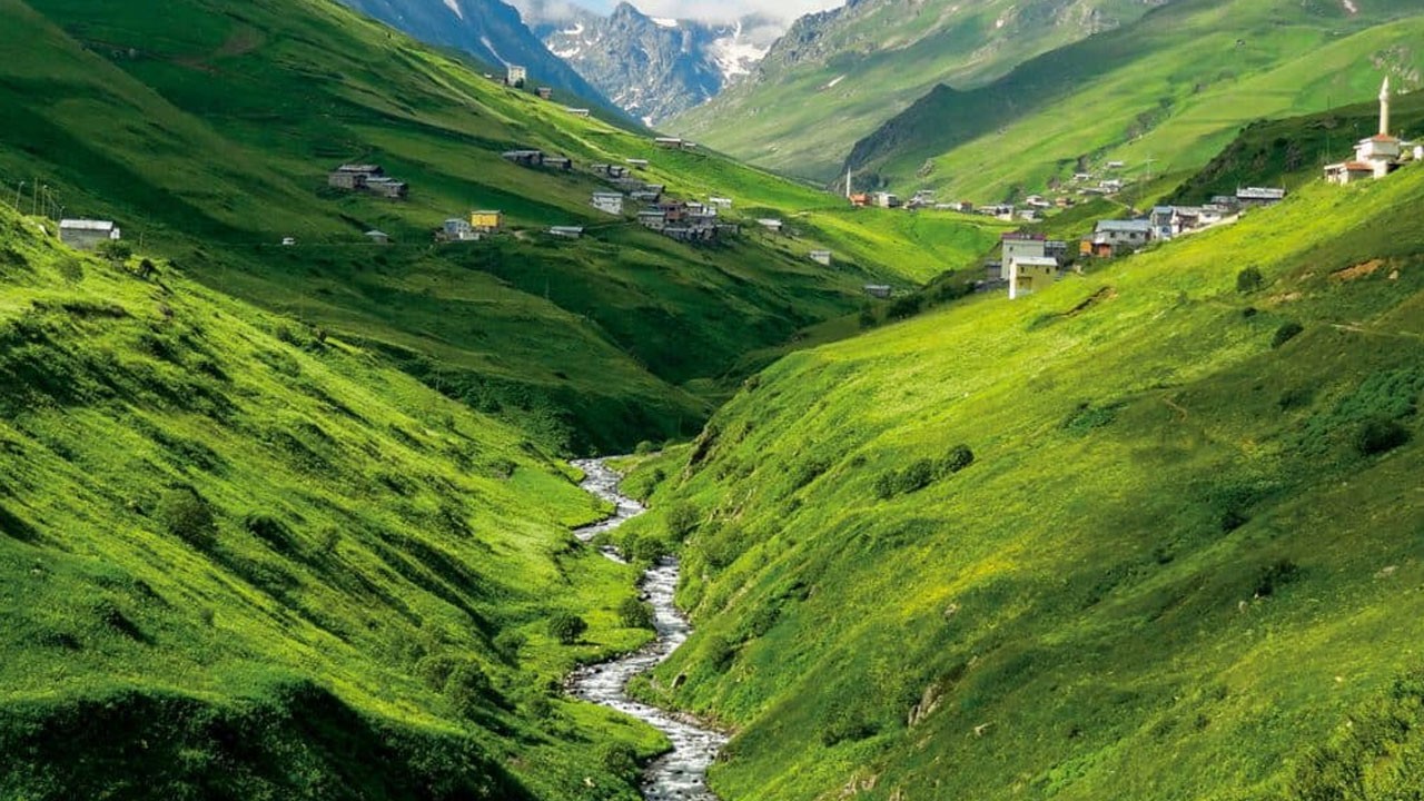 Karadenizli vatandaştan yayla tepkisi! Sözleri sosyal medyada gündem oldu