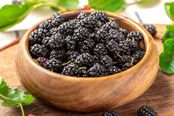 Karadut pekmezinin şifa niyetine 10 faydası: Hastalıklara böyle son verdi! İşte yok etme gücüne sahip besin