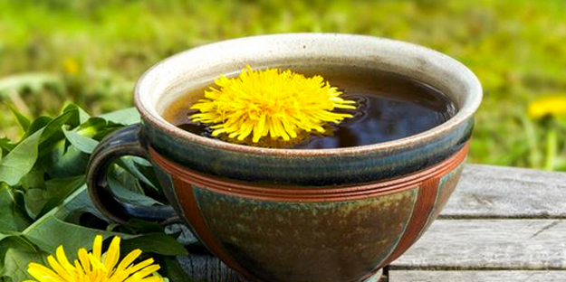 Karahindiba: resmen savaş veriyor, diğerlerini unutun! Yararı şok etti! Kullanınca her şey değişecek! Tüm gün 1 bardak kadar..