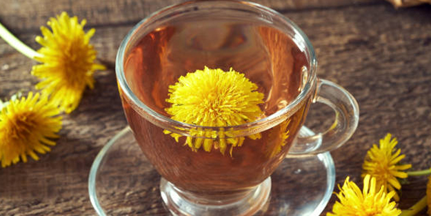 Karahindiba: Bilim insanları o herkese iyi gelecek diyor! Öyle bir faydası var ki...