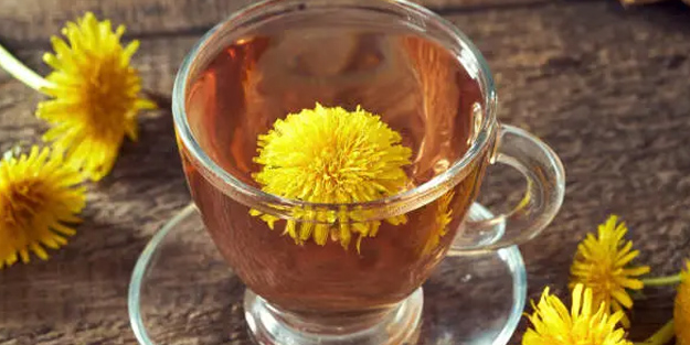 Karahindiba: Yaptığı beklenmedik önemli etkileri var! Bakın ne: Bilgilerinizi altüst edecek! Karahindibanın faydaları