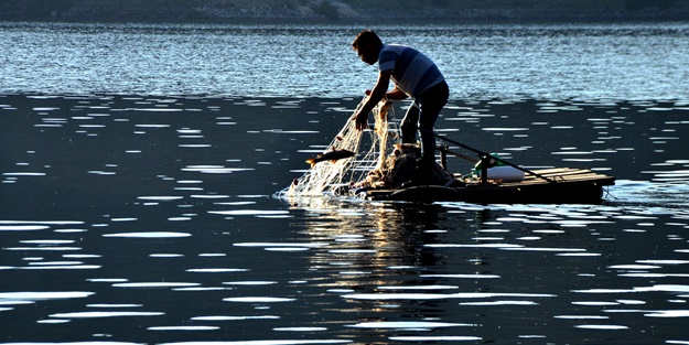 Karakurt Baraj Gölü’nde balık bereketi