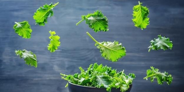 Karalahana kraliçe ilan edildi!