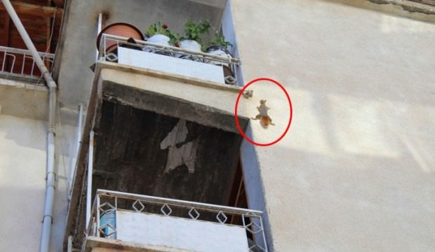 Karaman'da apartmana tırmanırken görenler şaşkına döndü