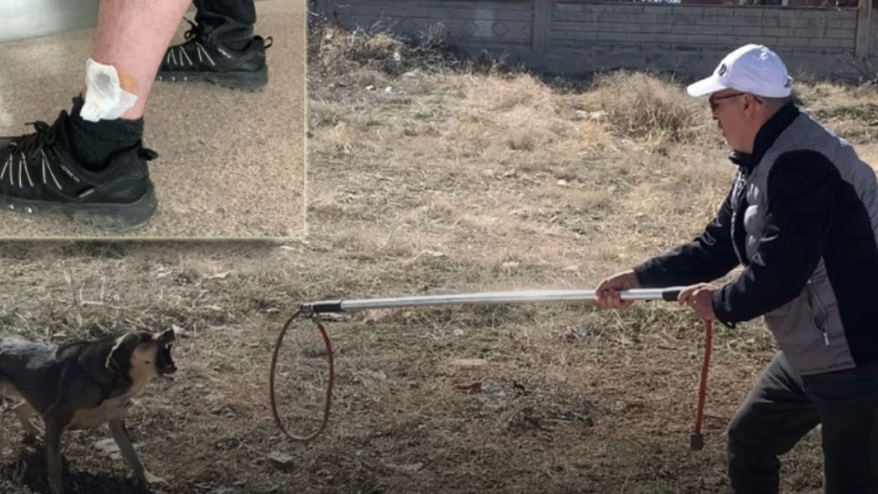 Karaman'da köpekler baba ile oğluna saldırdı!