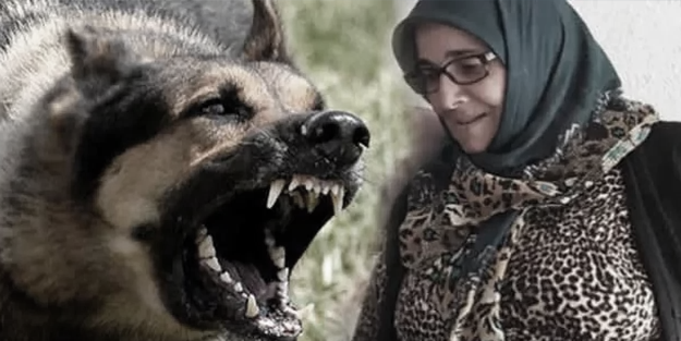 Karaman’da köpeklerin parçaladığı Duru teyze vefat etti