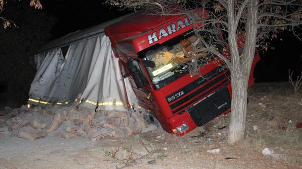 Karaman’da TIR'ı devrilmekten ağaçlar kurtardı
