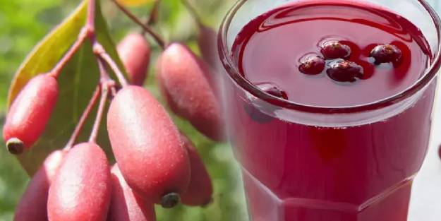 Karamuk: Doğal reçete, bağışıklık güçlendiriyor