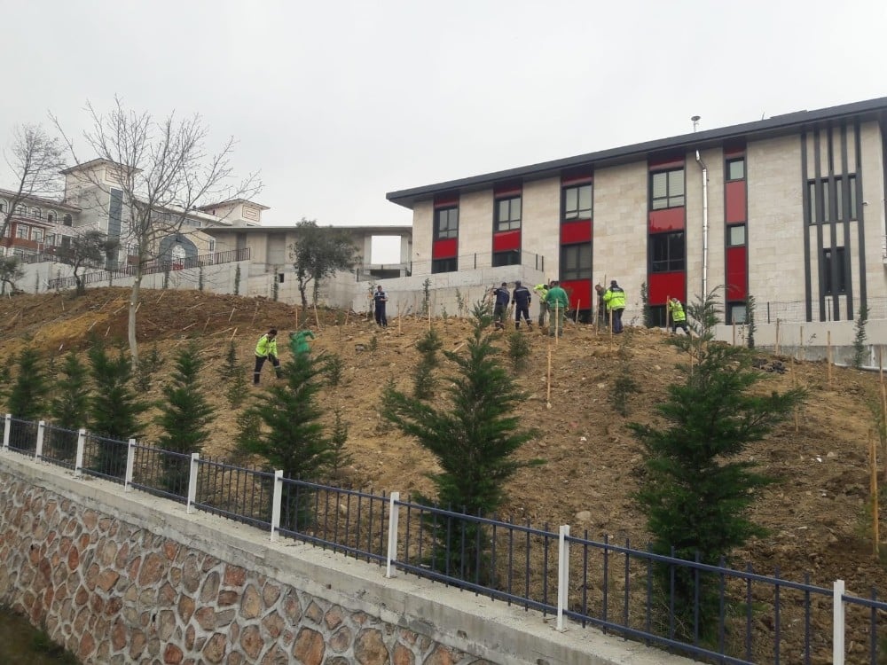Karamürsel İtfaiye Binası çevresinde ağaçlandırma 