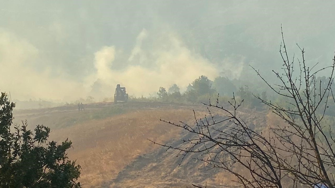 Karamürsel’de farklı noktalarda orman yangınları