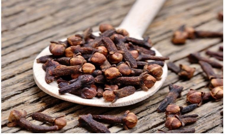 Karanfil çiğnemenin faydaları