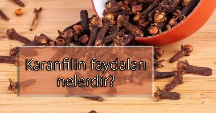 Karanfilin faydaları nelerdir?