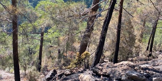 Karanlıkdere Kanyonu'nda çıkan yangın kontrol altına alındı