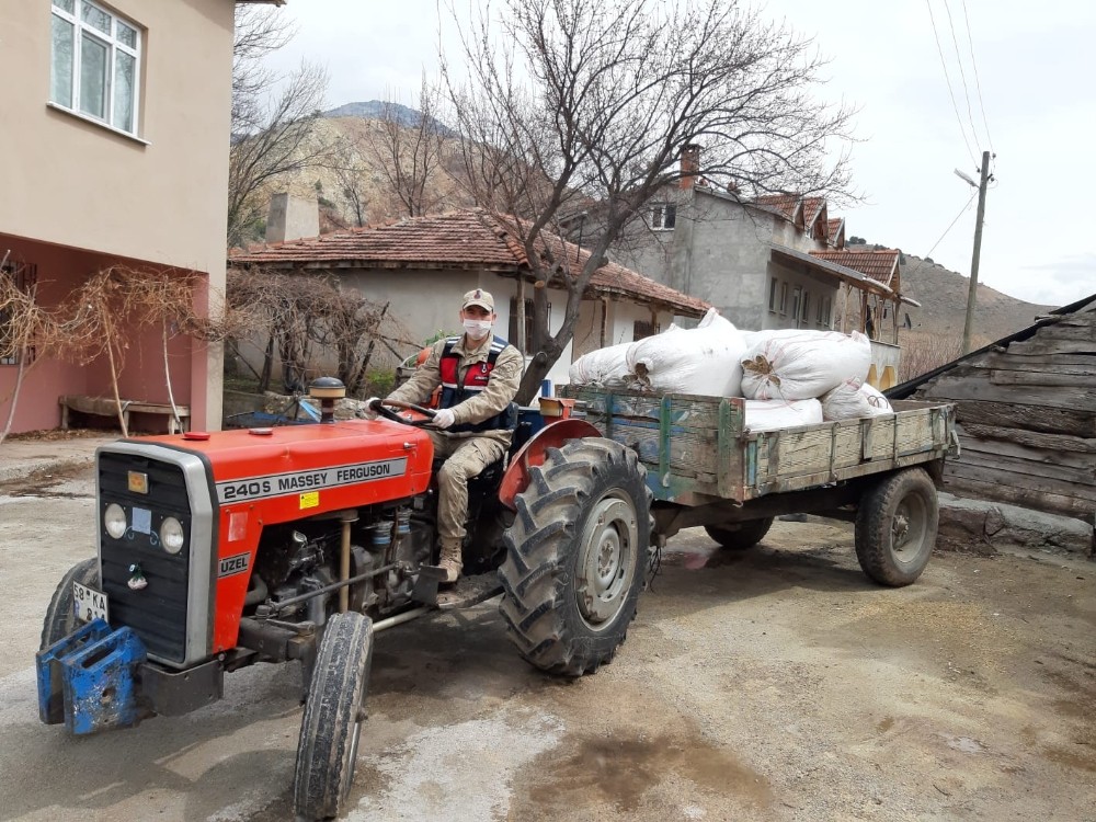 Karantina altında samanı biten köye, Jandarma saman taşıdı 
