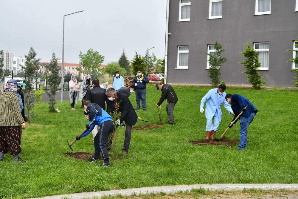 Karantina anısına fidanları toprakla buluşturdular 