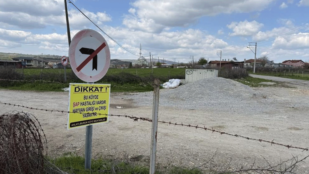 Karantina haberi geldi! Çanakkale'de neler oluyor?