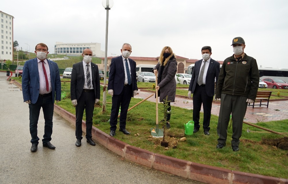 Karantina süresini tamamlayıp memleketlerine gidenlere fidan hediye edildi 