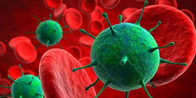 Karantina ve alerjiler arasındaki bağlantı araştırılacak