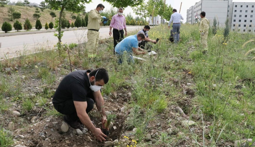 Karantinadan ayrılırken hatıra olarak 292 fidanı toprakla buluşturdular 