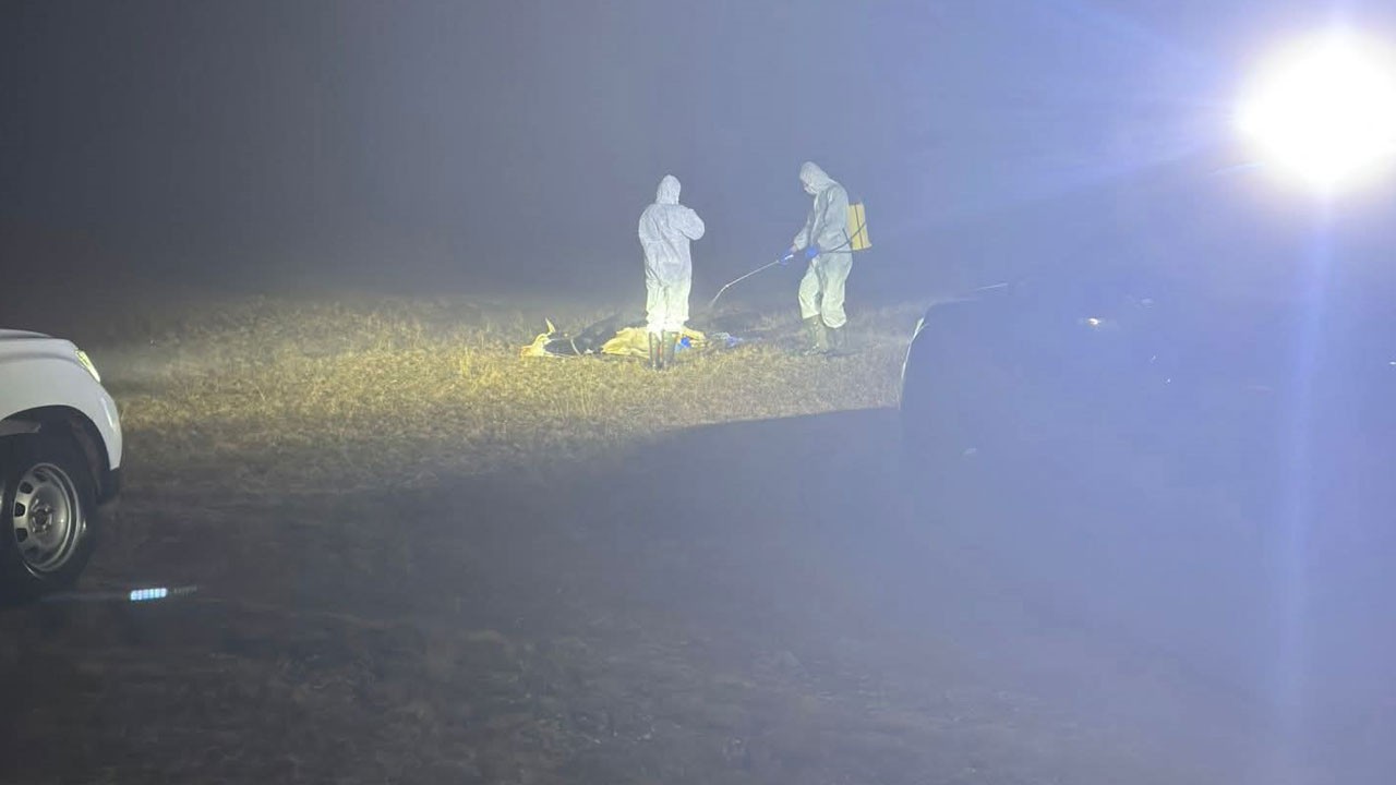 Karantinaya alındı! 5 köye hayvan girişi çıkışı yasaklandı