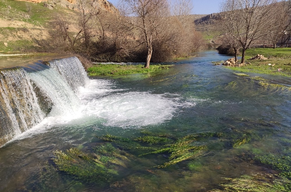 Karasu Çayı eski su seviyesine kavuştu 