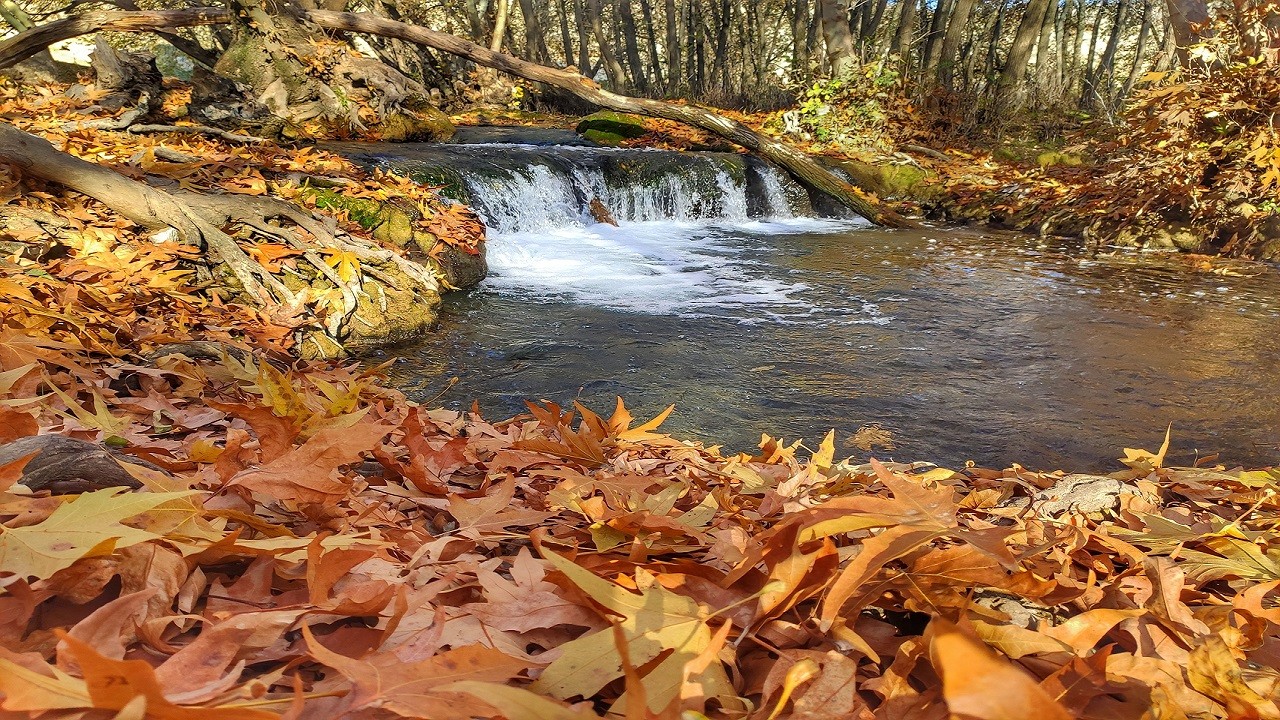 Karasu Çayı renk cümbüşü sunuyor